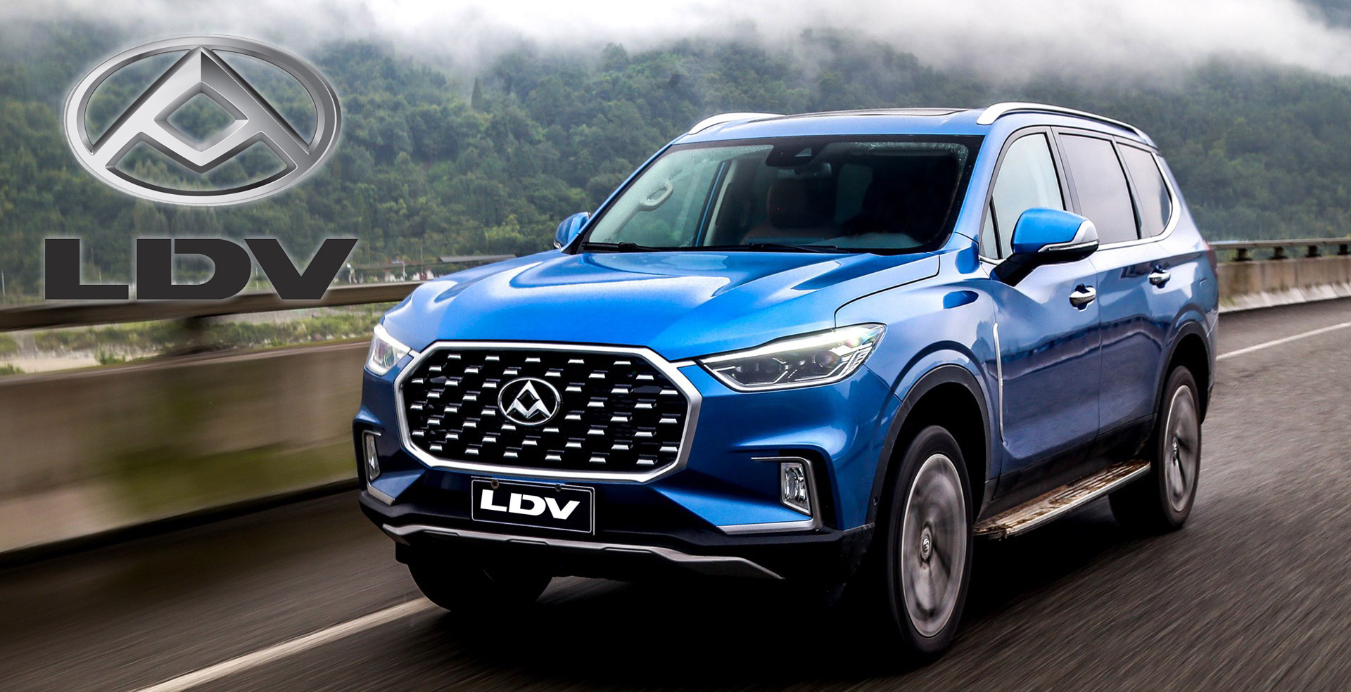 ldv-banner